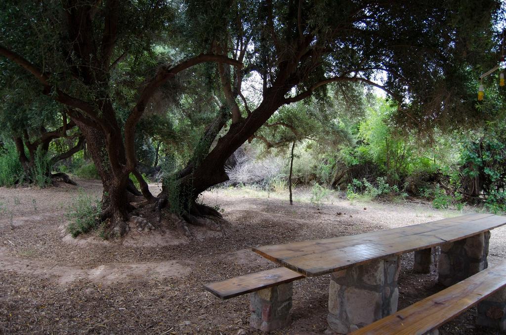 El Zorro Gris Βίλα Tinogasta Εξωτερικό φωτογραφία